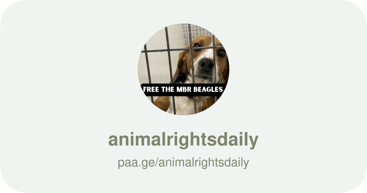 animalrightsdaily