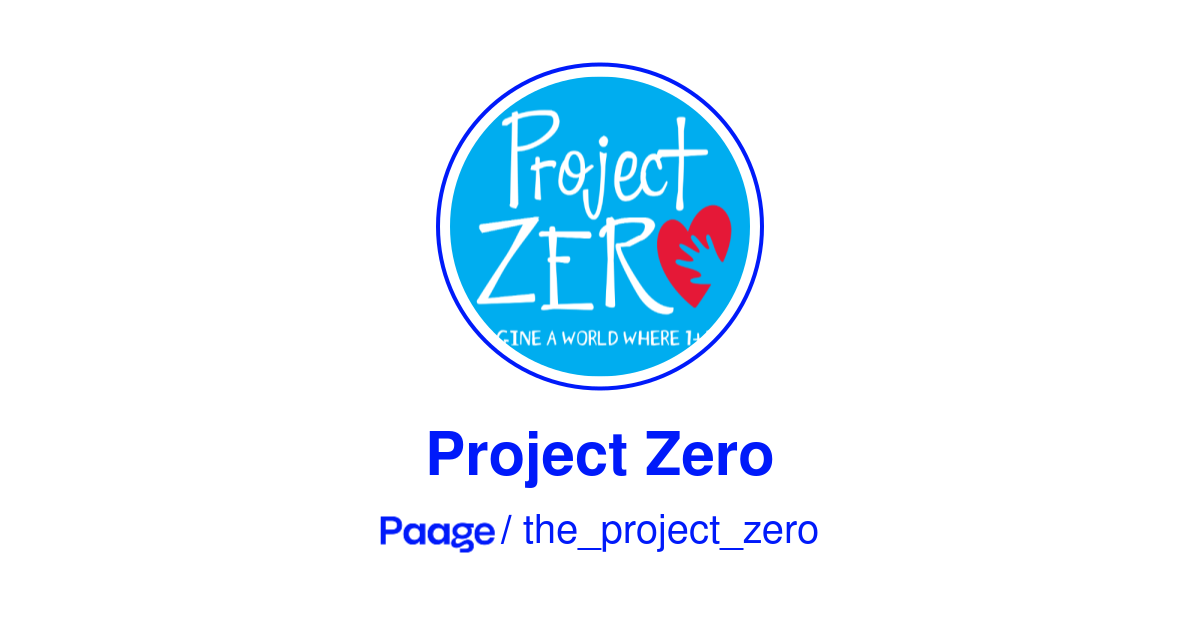 Project Zero Color Symbol Object Project Zero